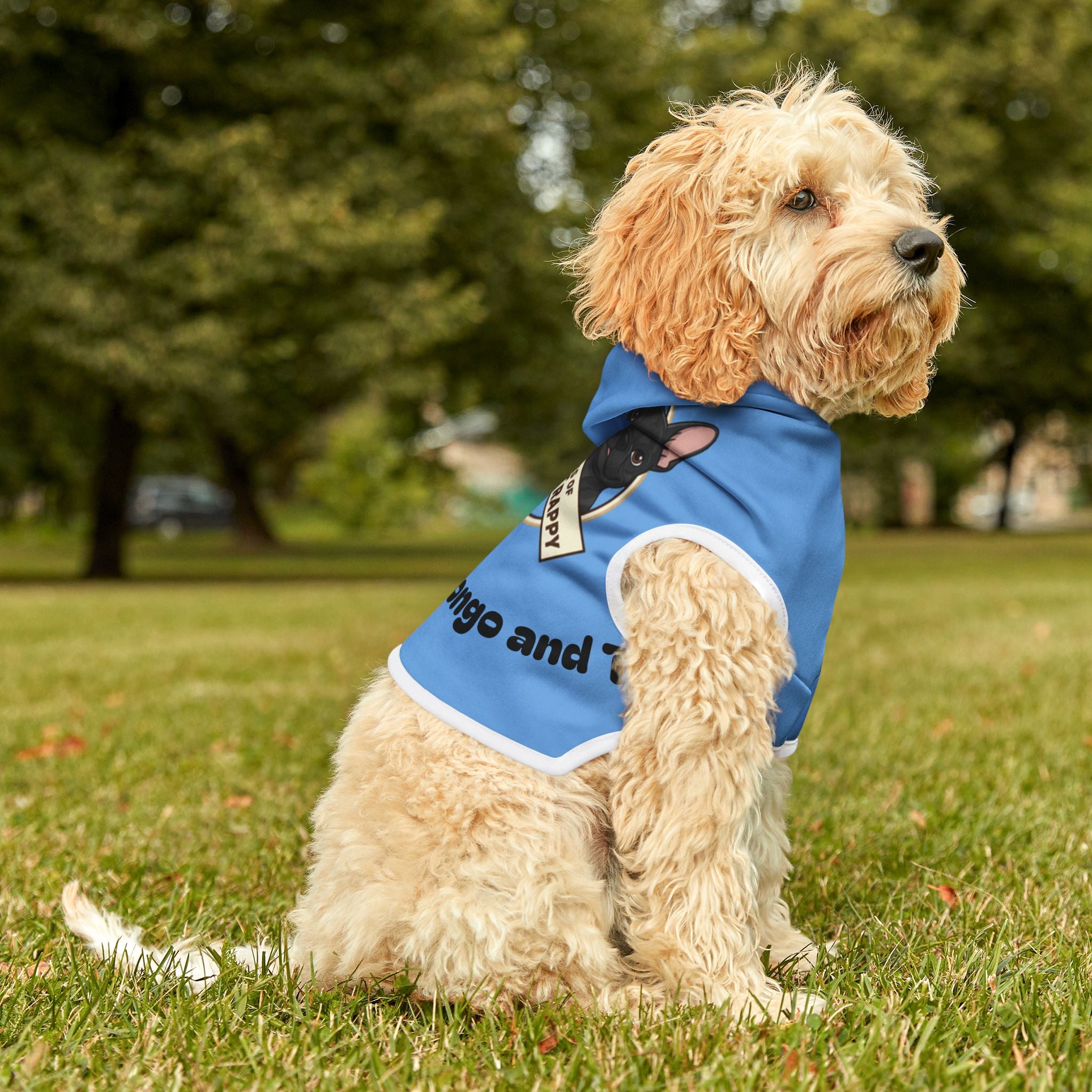 Pet Hoodie — "The Adventures of Mongo and Trappy" Blue Dog Hoodie for Small Pets