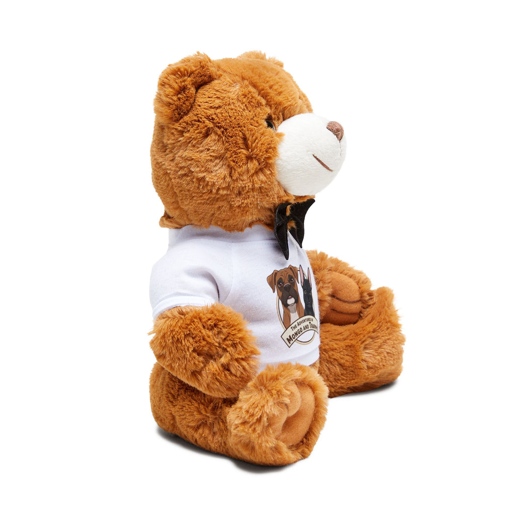 Teddy bear with T-shirt