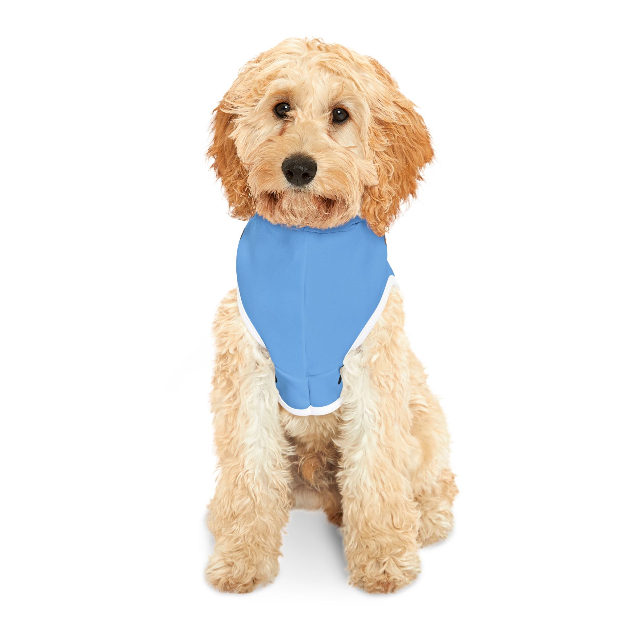 Pet Hoodie — "The Adventures of Mongo and Trappy" Blue Dog Hoodie for Small Pets