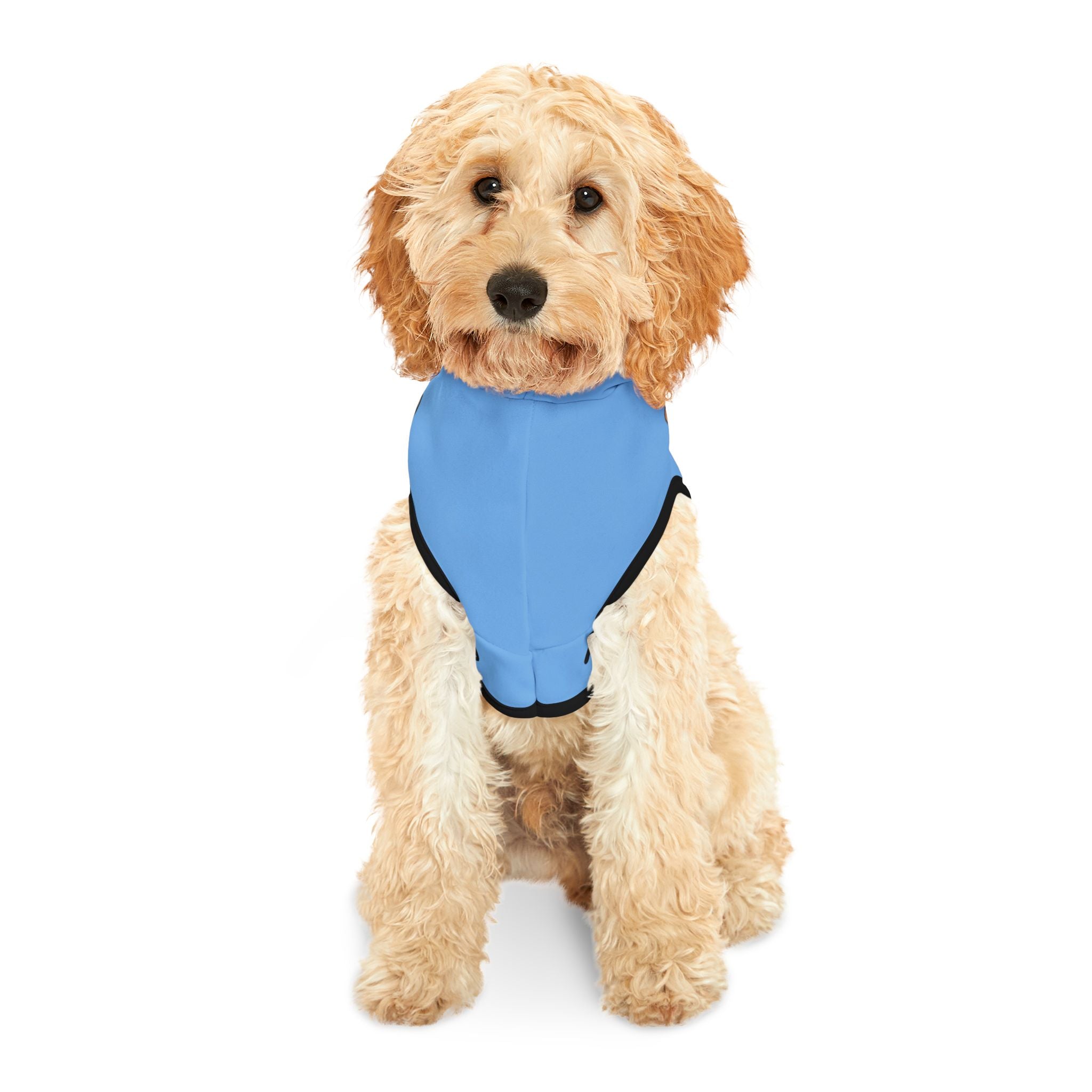 Pet Hoodie — "The Adventures of Mongo and Trappy" Blue Dog Hoodie for Small Pets