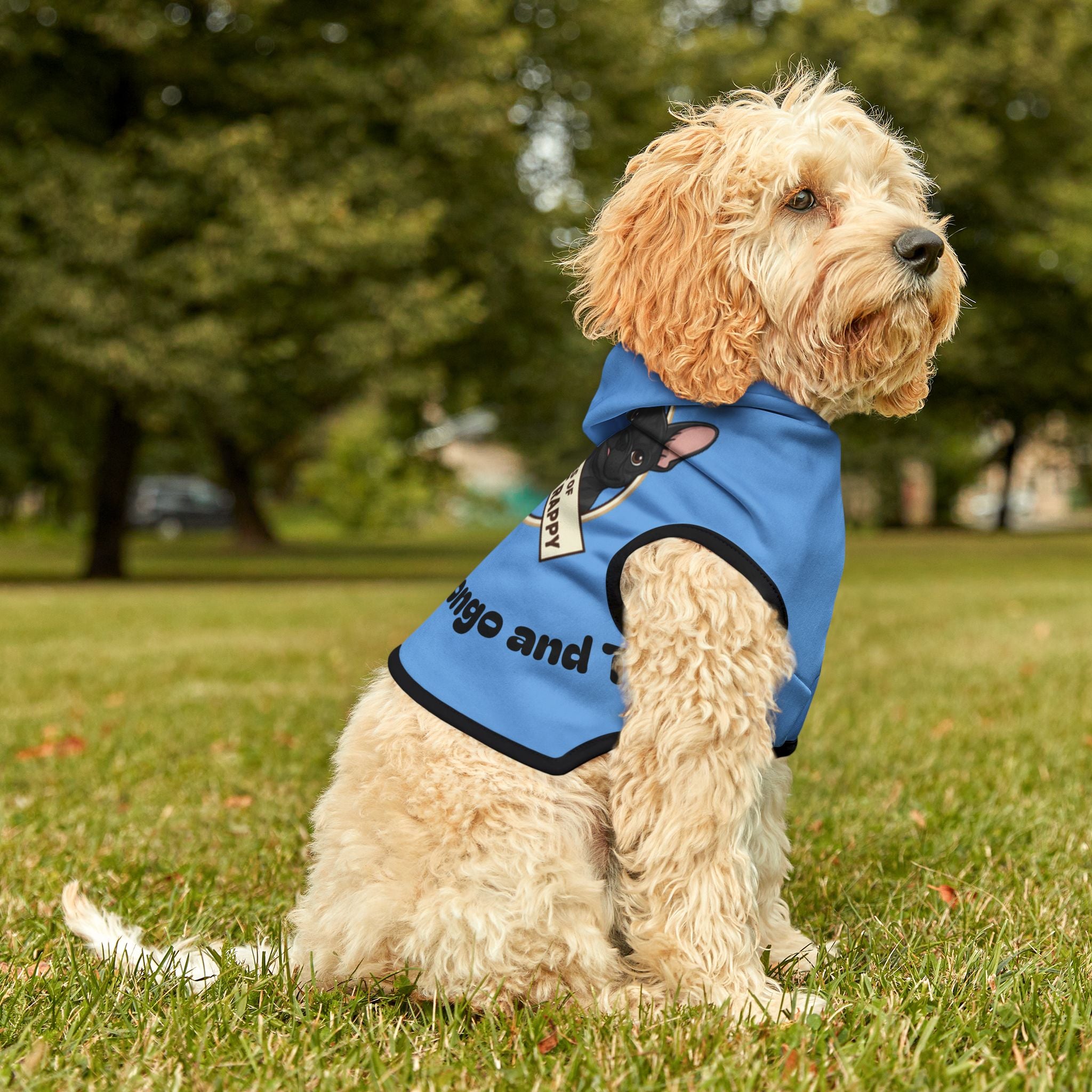 Pet Hoodie — "The Adventures of Mongo and Trappy" Blue Dog Hoodie for Small Pets