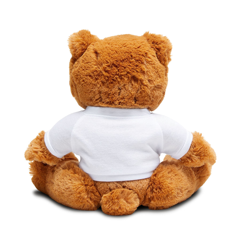 Teddy bear with T-shirt