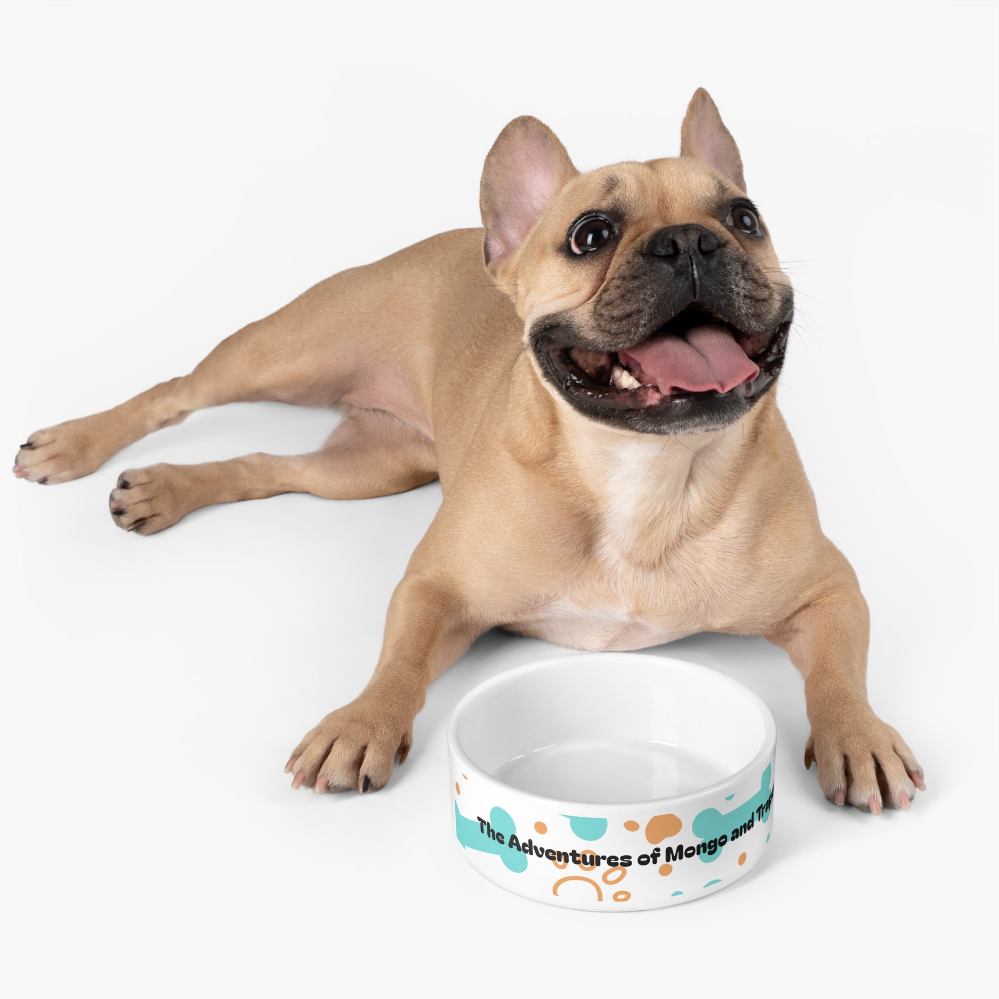 Custom Pet Bowl — "The Adventures of Mongo and Trappy" Bone & Dot Design