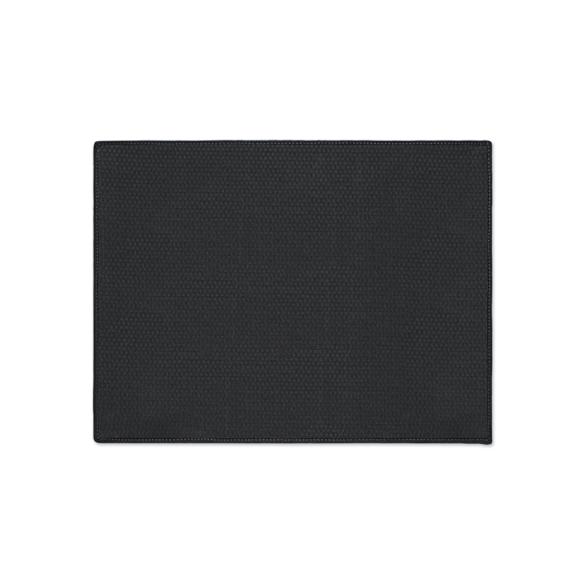 Personalized Dog Floor Mat — "The Adventures of Mongo and Trappy" Heavy-Duty Welcome Mat