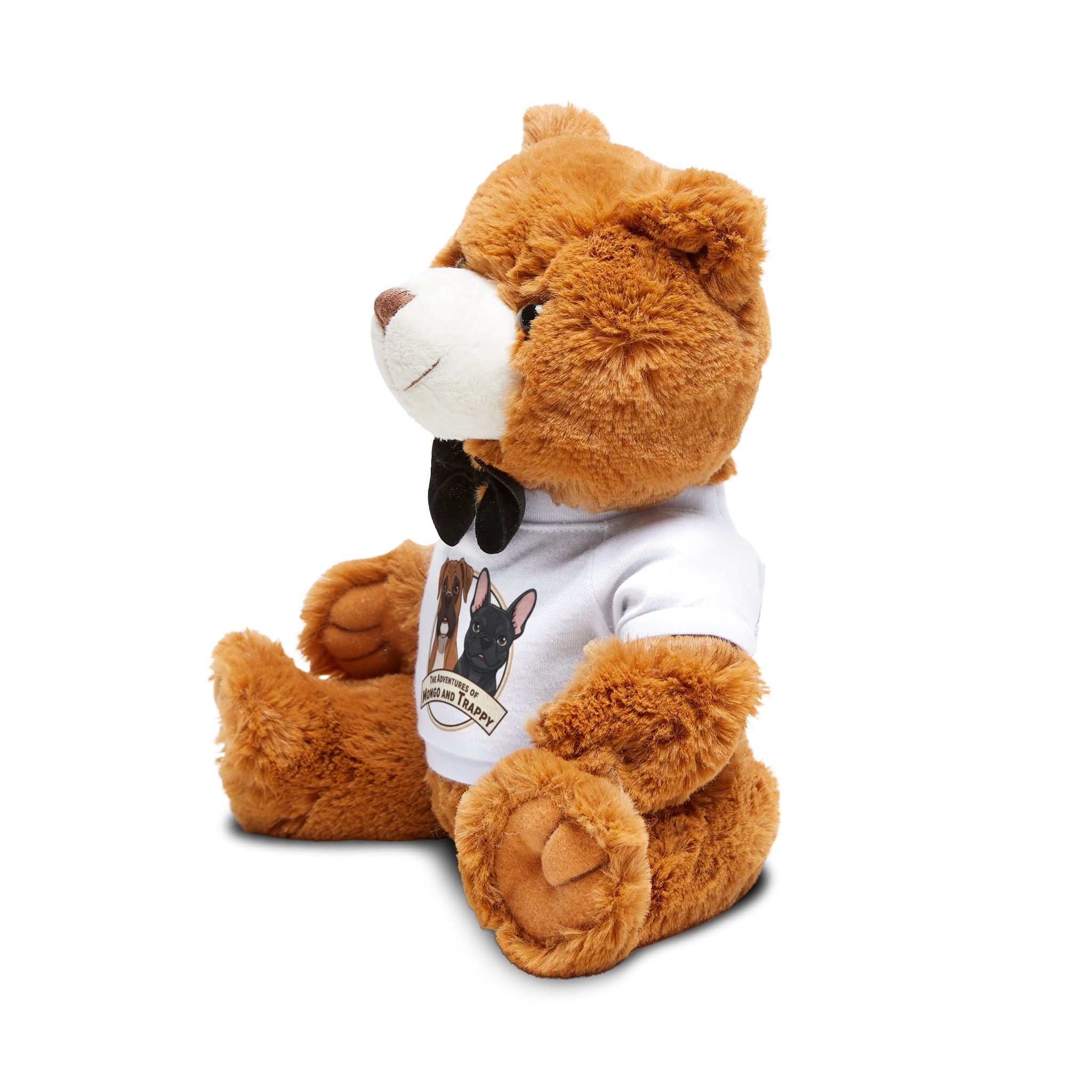 Teddy bear with T-shirt